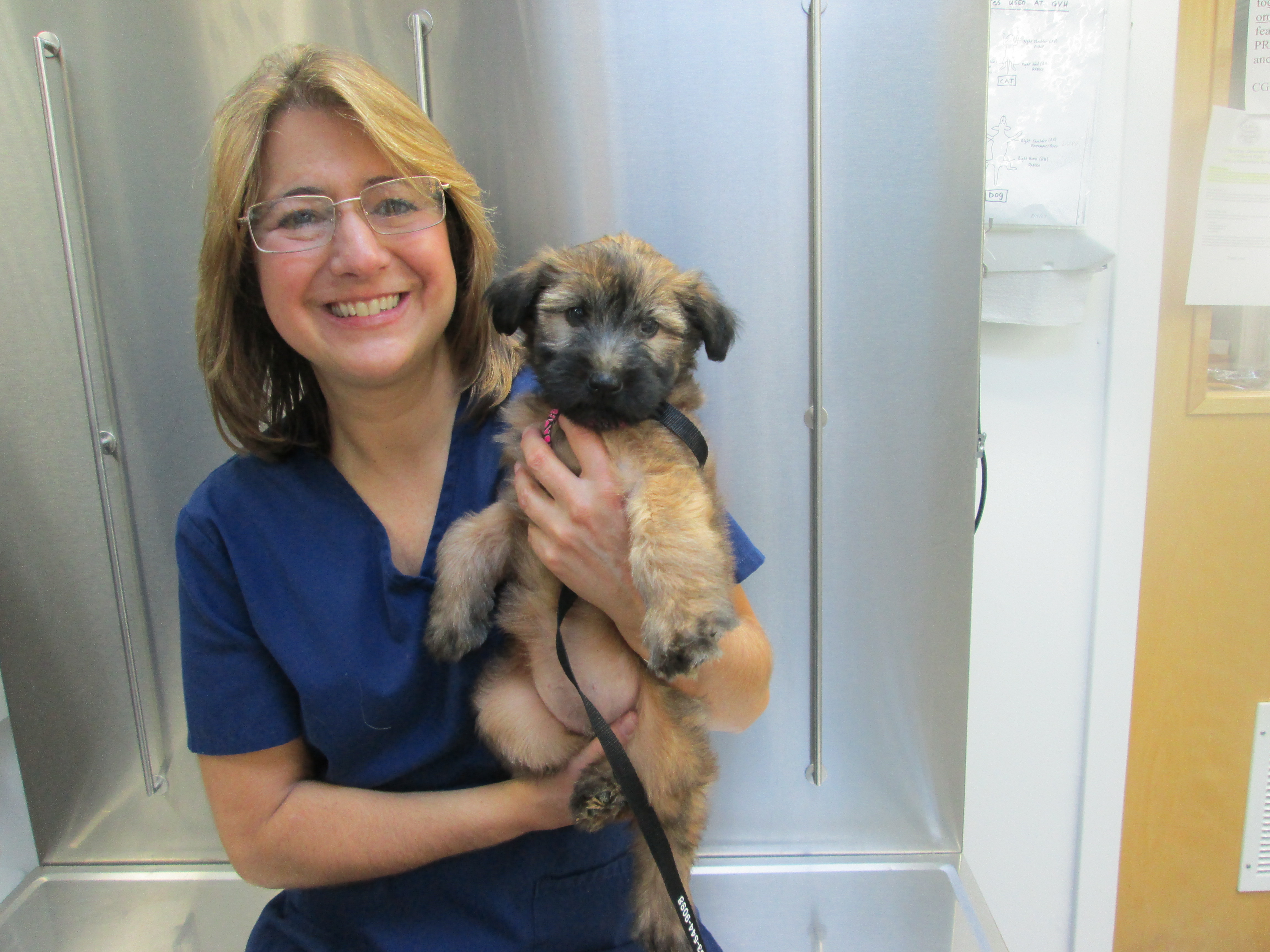 img_3922 VETERINARY HOSPITAL