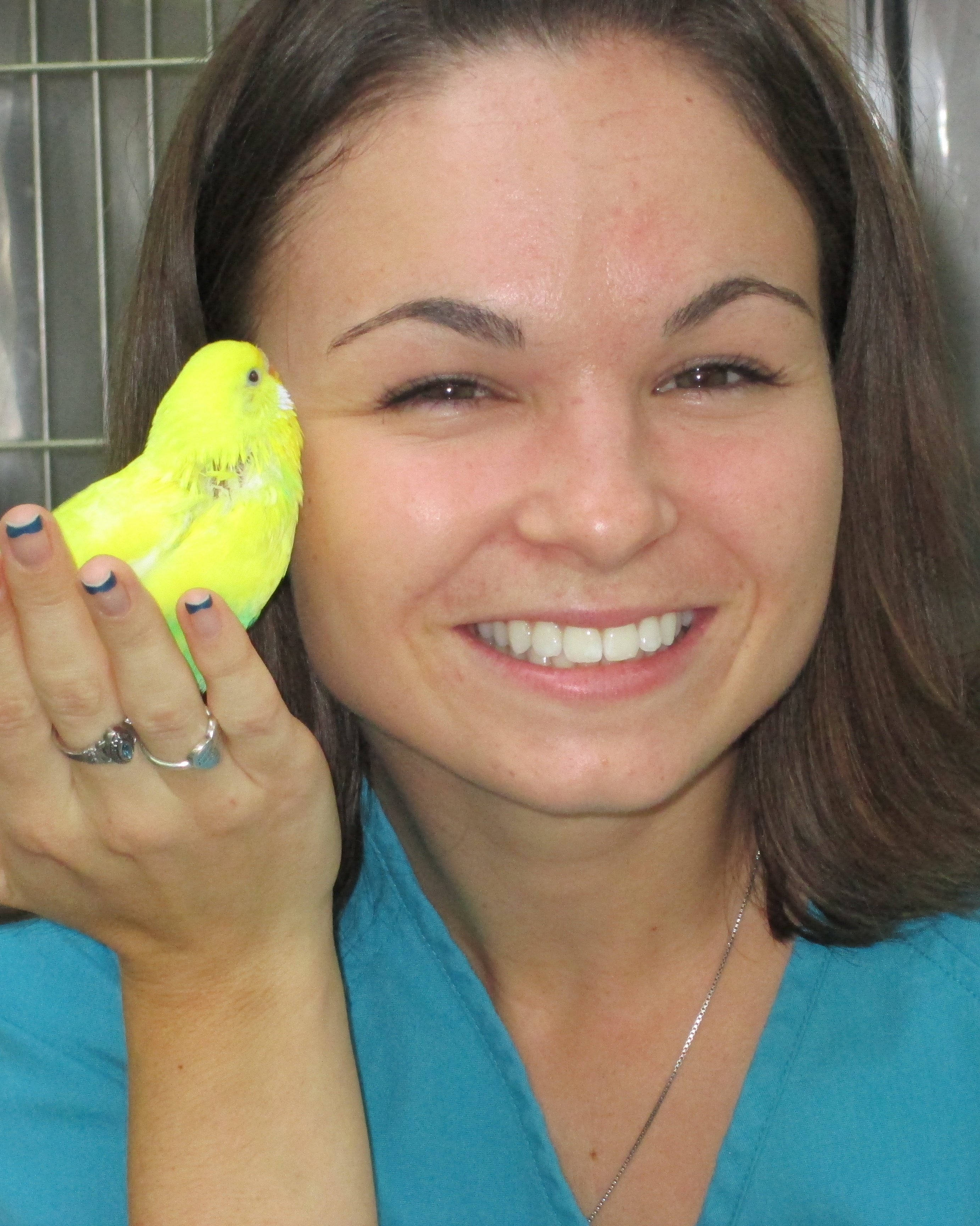 kate014 VETERINARY HOSPITAL